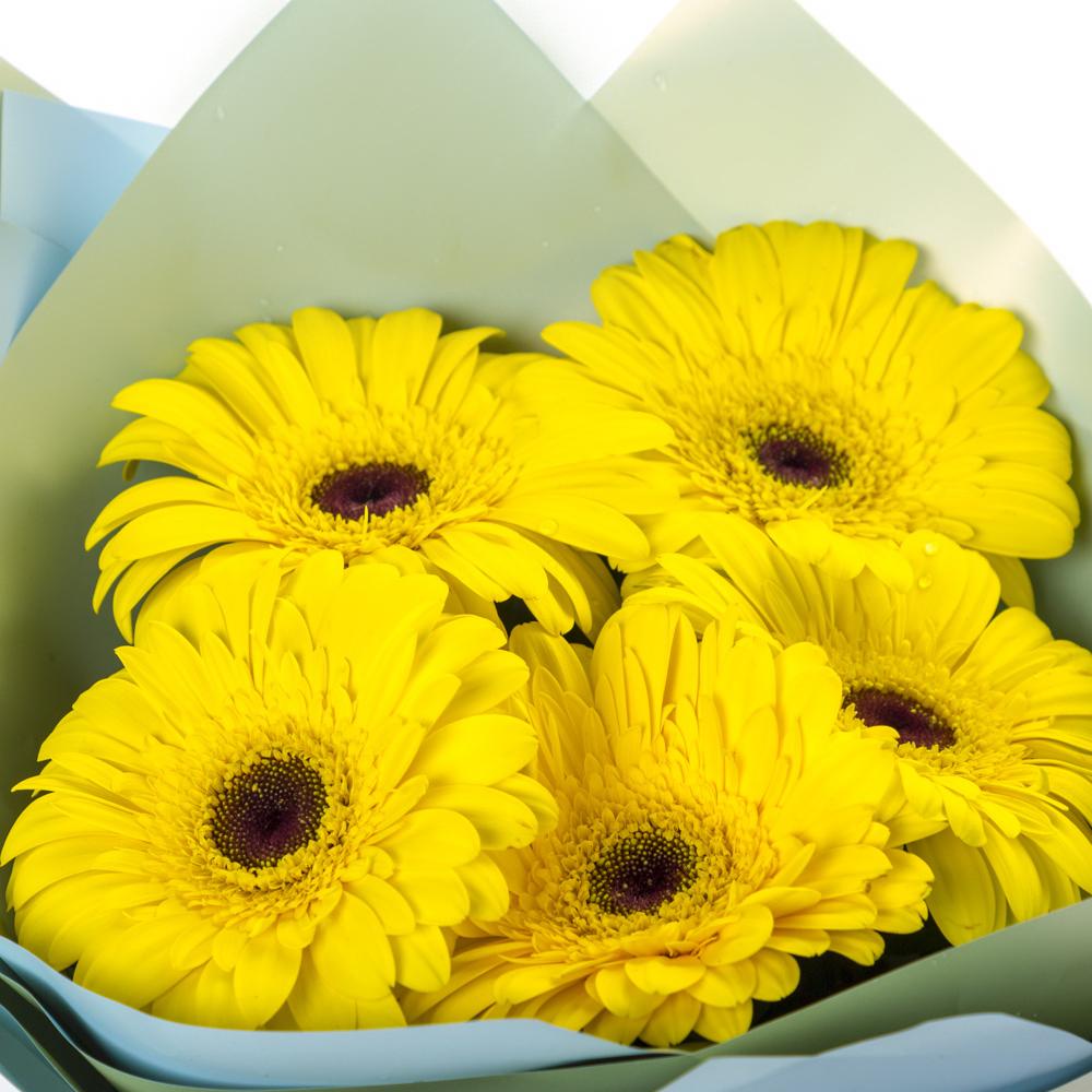 Яркий букет из 5 жёлтых гербер – как кусочек солнца в ваших руках Анадырь Чукотский автономный округ