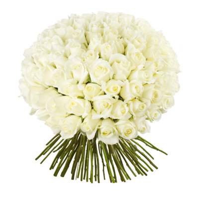 Роскошный букет из 101 белой розы – воплощение бесконечной любви Анадырь Чукотский автономный округ