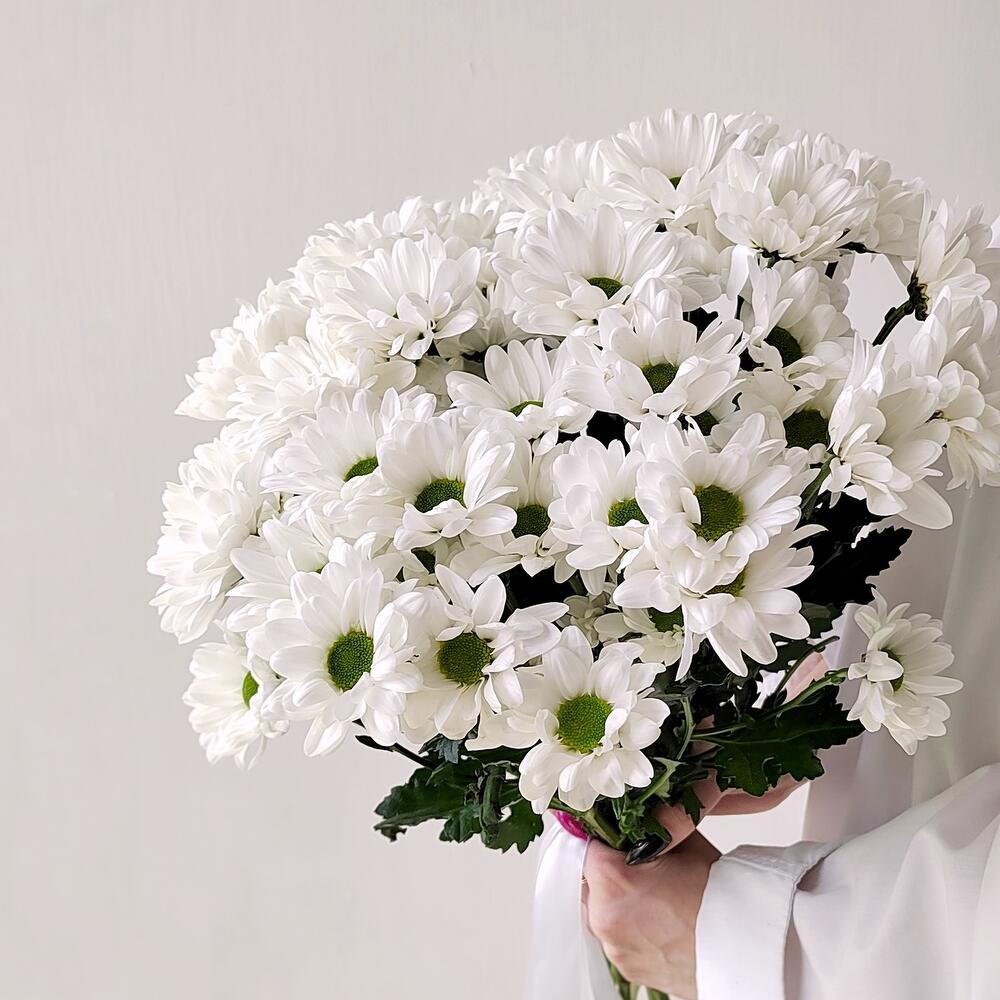 Букет «Ромашка» – 9 белоснежных хризантем в деревенском стиле Анадырь Чукотский автономный округ