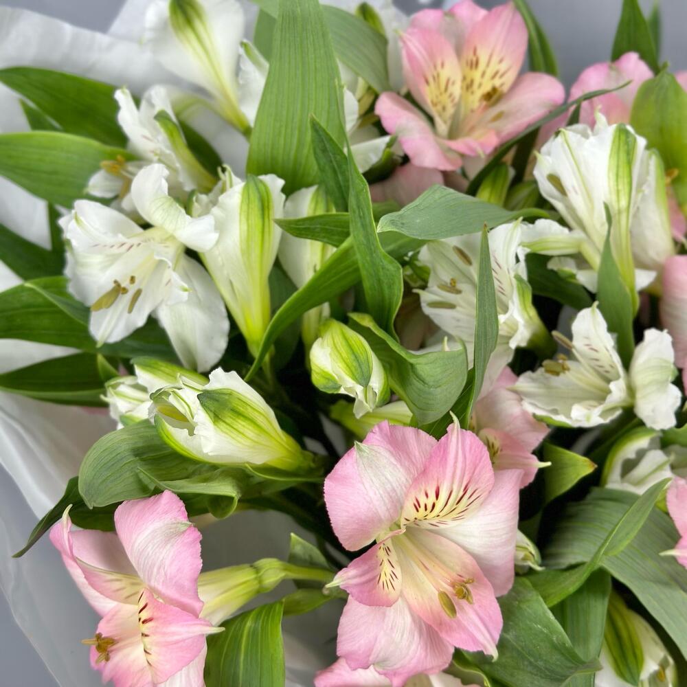 Букет «Нежность» – трогательное сочетание белых и розовых альстромерий Анадырь Чукотский автономный округ