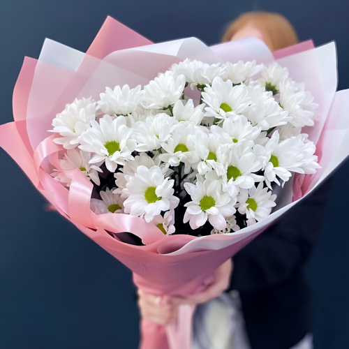 Букет «Розовое счастье» – нежность белых хризантем Анадырь Чукотский автономный округ