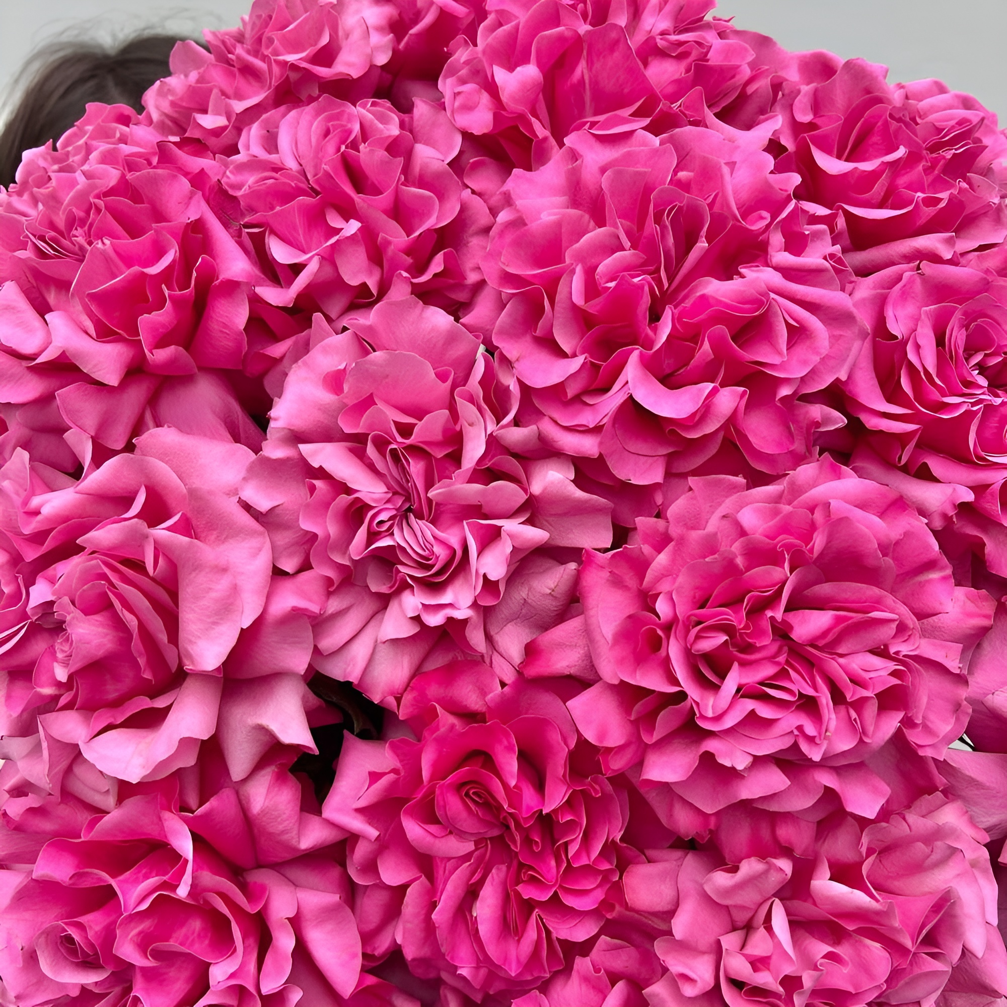 Роскошный букет из пионовидных роз – королевский подарок Анадырь Чукотский автономный округ