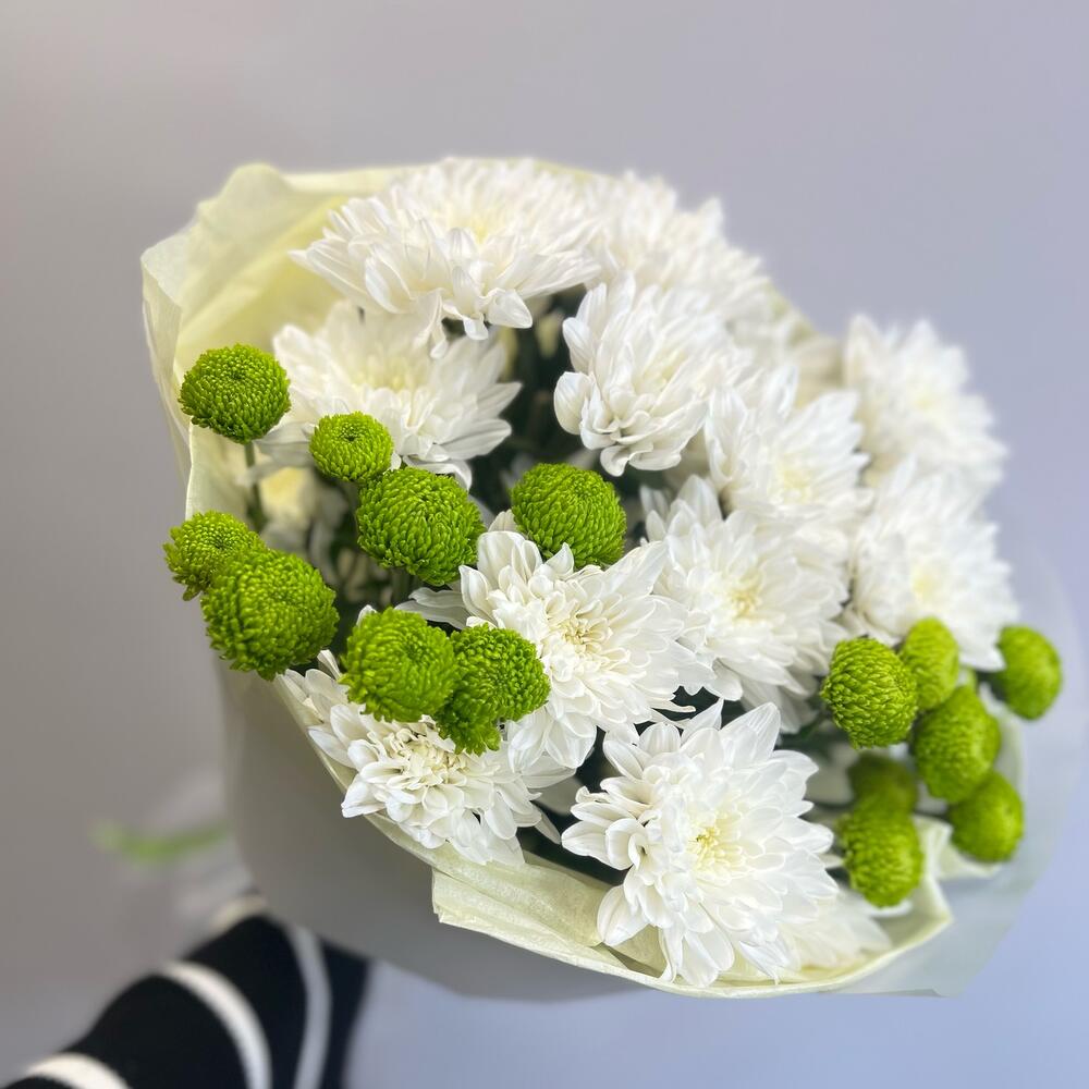 Эксклюзивный букет «Филин Грин» – сочетание белых и зеленых хризантем Анадырь Чукотский автономный округ