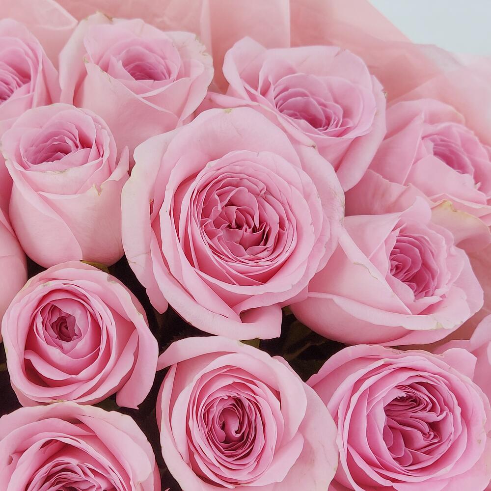 Букет из нежно-розовых роз – элегантность в каждом лепестке Анадырь Чукотский автономный округ