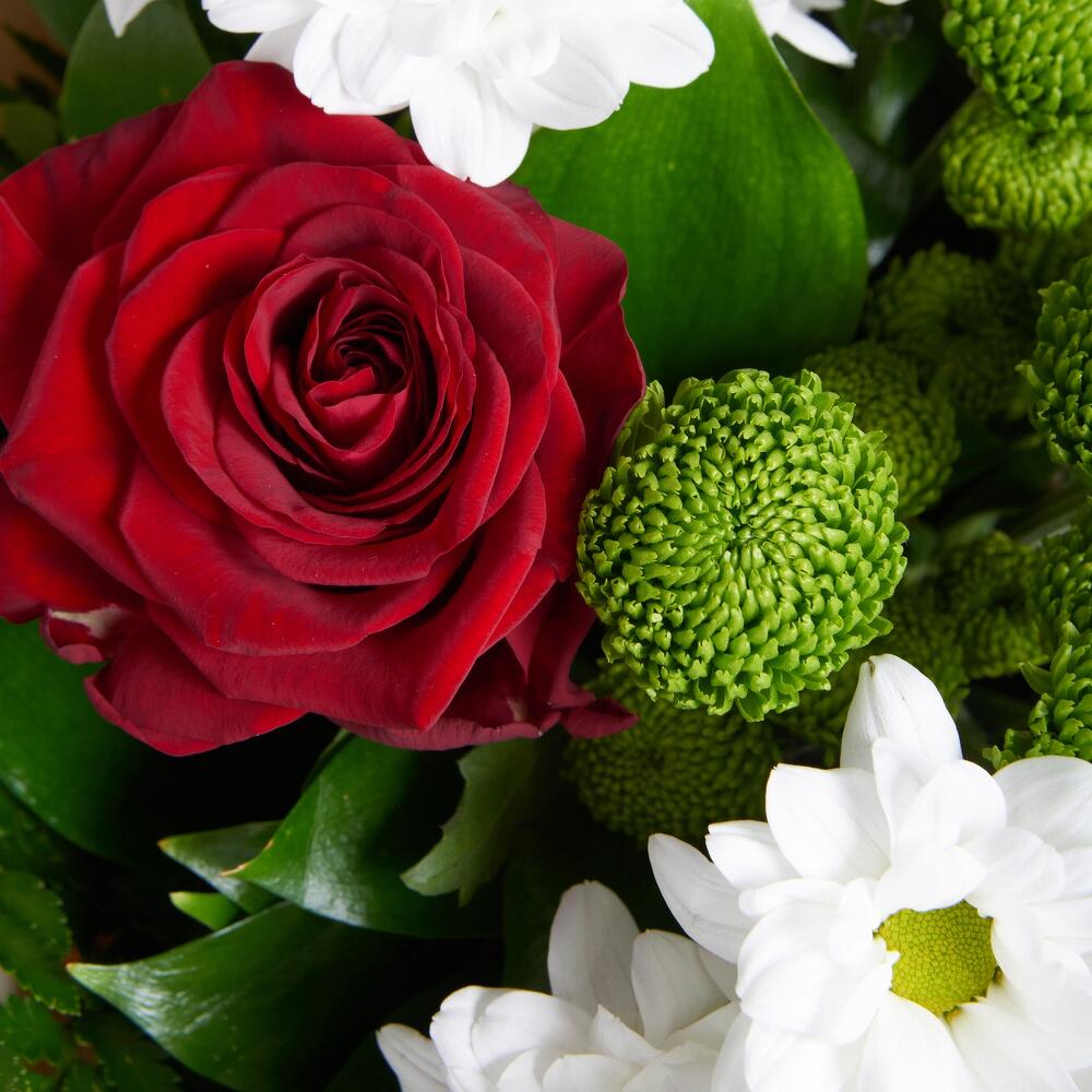 Букет «Настроение» – гармония красных эквадорских роз и нежных хризантем Анадырь Чукотский автономный округ