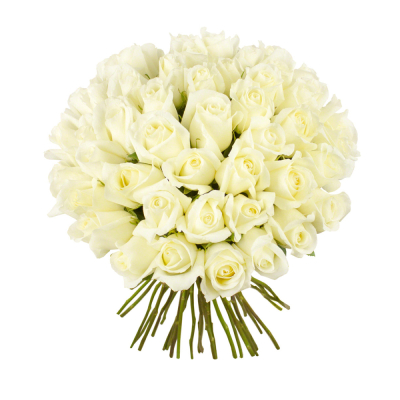 Роскошный букет из 51 белой розы – символ безграничной преданности Анадырь Чукотский автономный округ