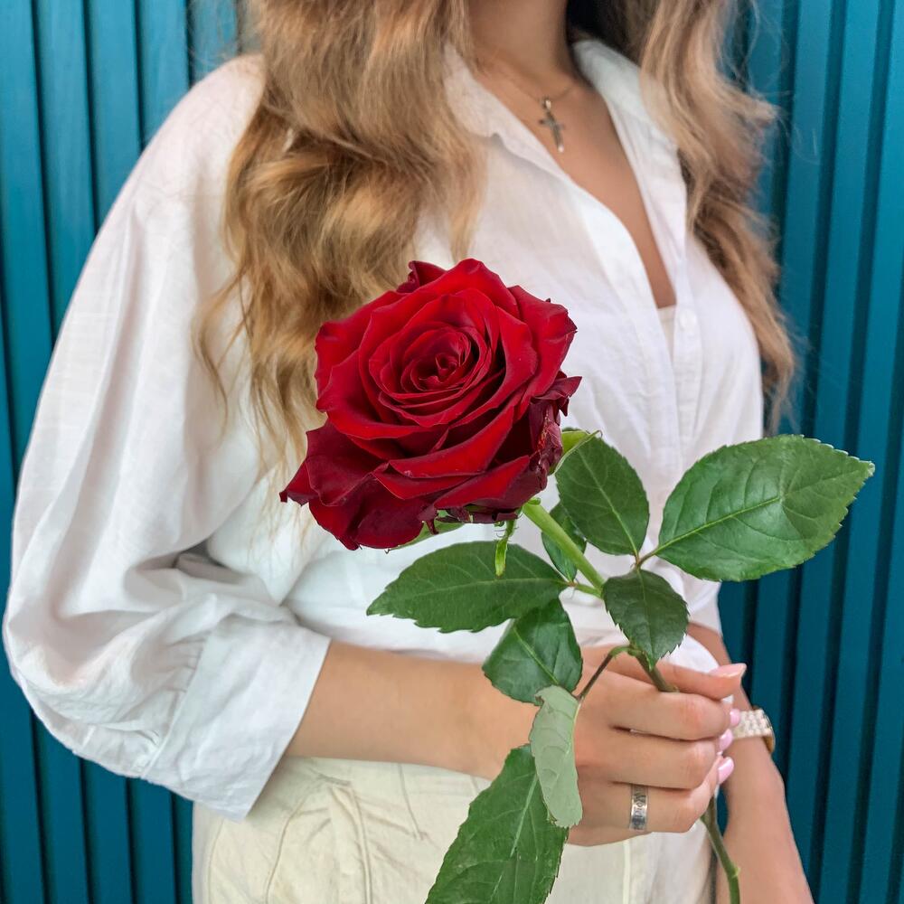 Комплимент из красной эквадорской розы – минимализм роскоши Анадырь Чукотский автономный округ