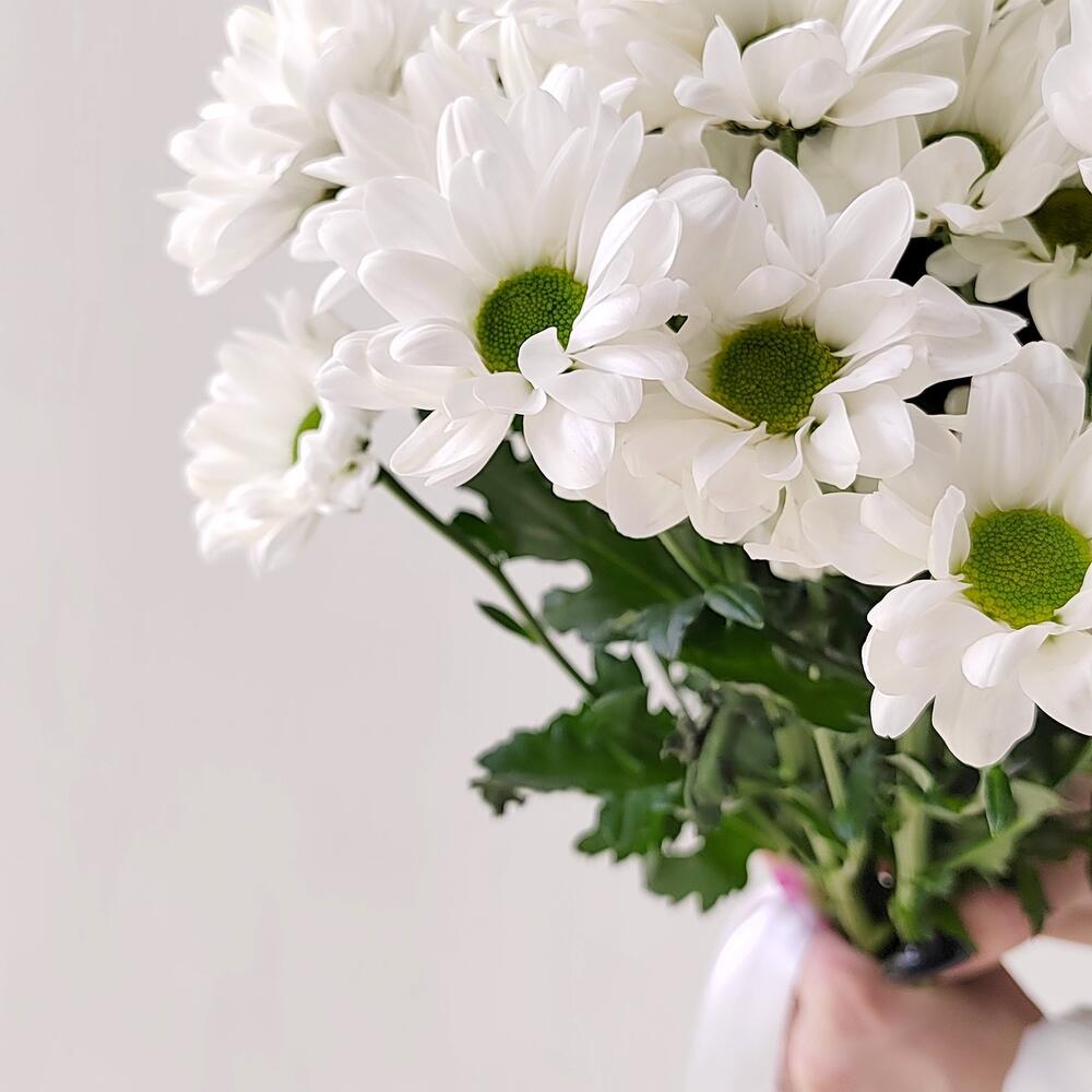 Букет «Ромашка» – 9 белоснежных хризантем в деревенском стиле Анадырь Чукотский автономный округ