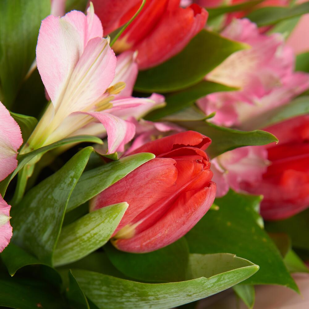 Букет «Первый поцелуй» красных тюльпанов и розовых альстромерий Анадырь Чукотский автономный округ