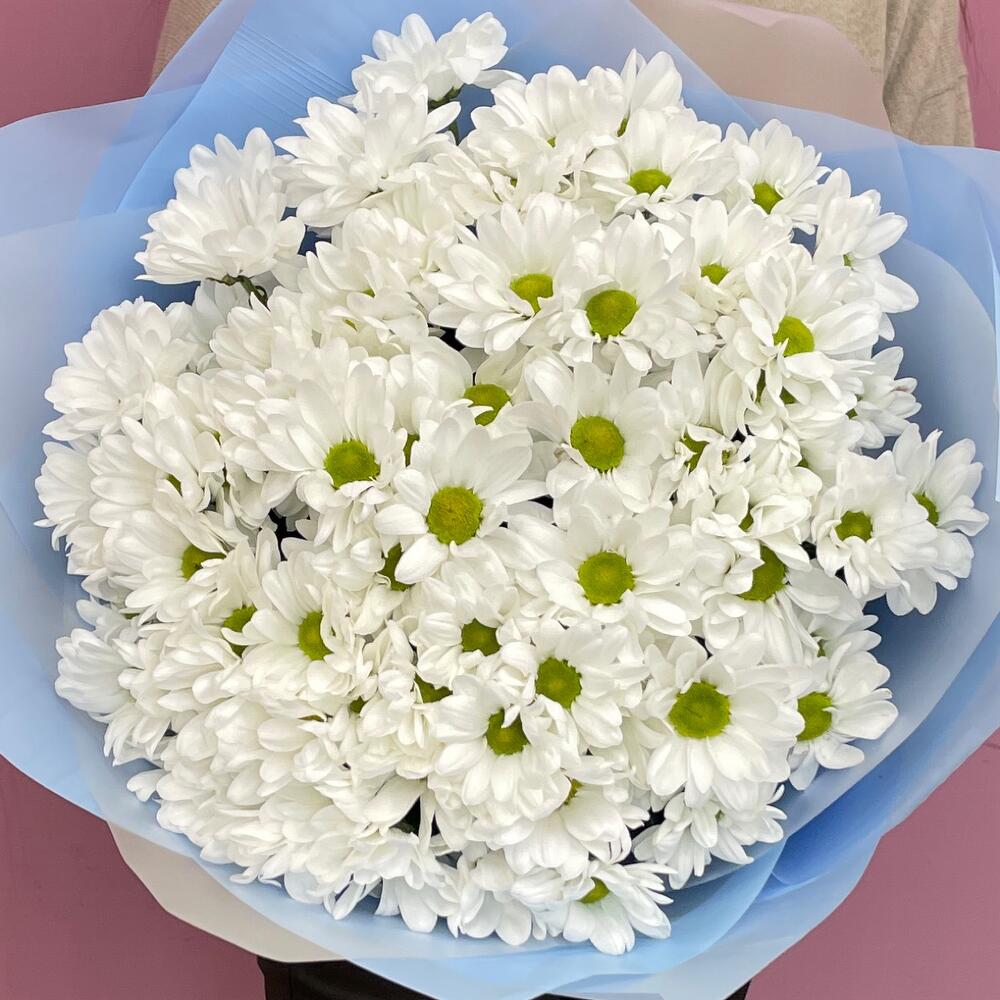 Букет «Ромашковое поле» – свежесть белых хризантем Анадырь Чукотский автономный округ