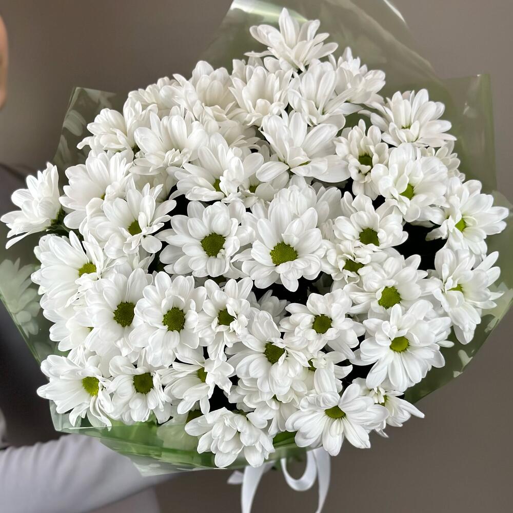 Букет «Мечты о лете» – свежесть белых хризантем Анадырь Чукотский автономный округ