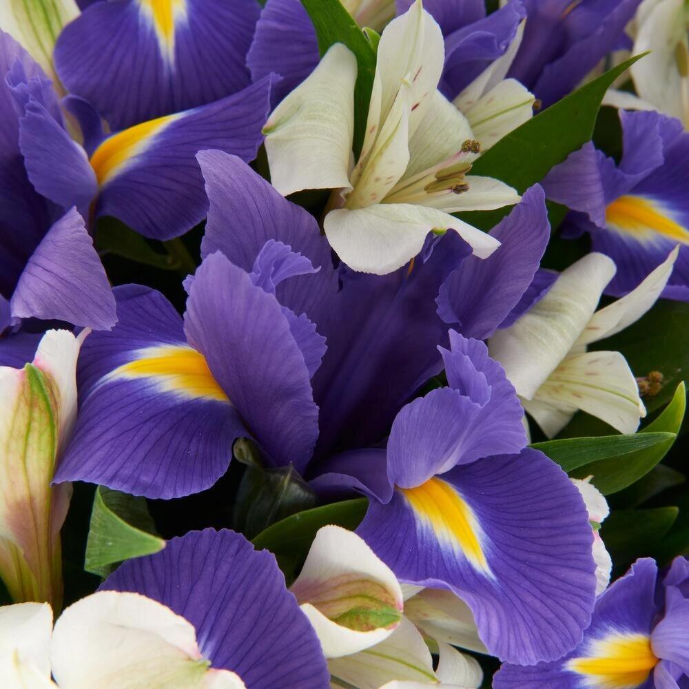 Букет «Вечернее дыхание»  – загадочная гармония синих ирисов и белых альстромерий Анадырь Чукотский автономный округ