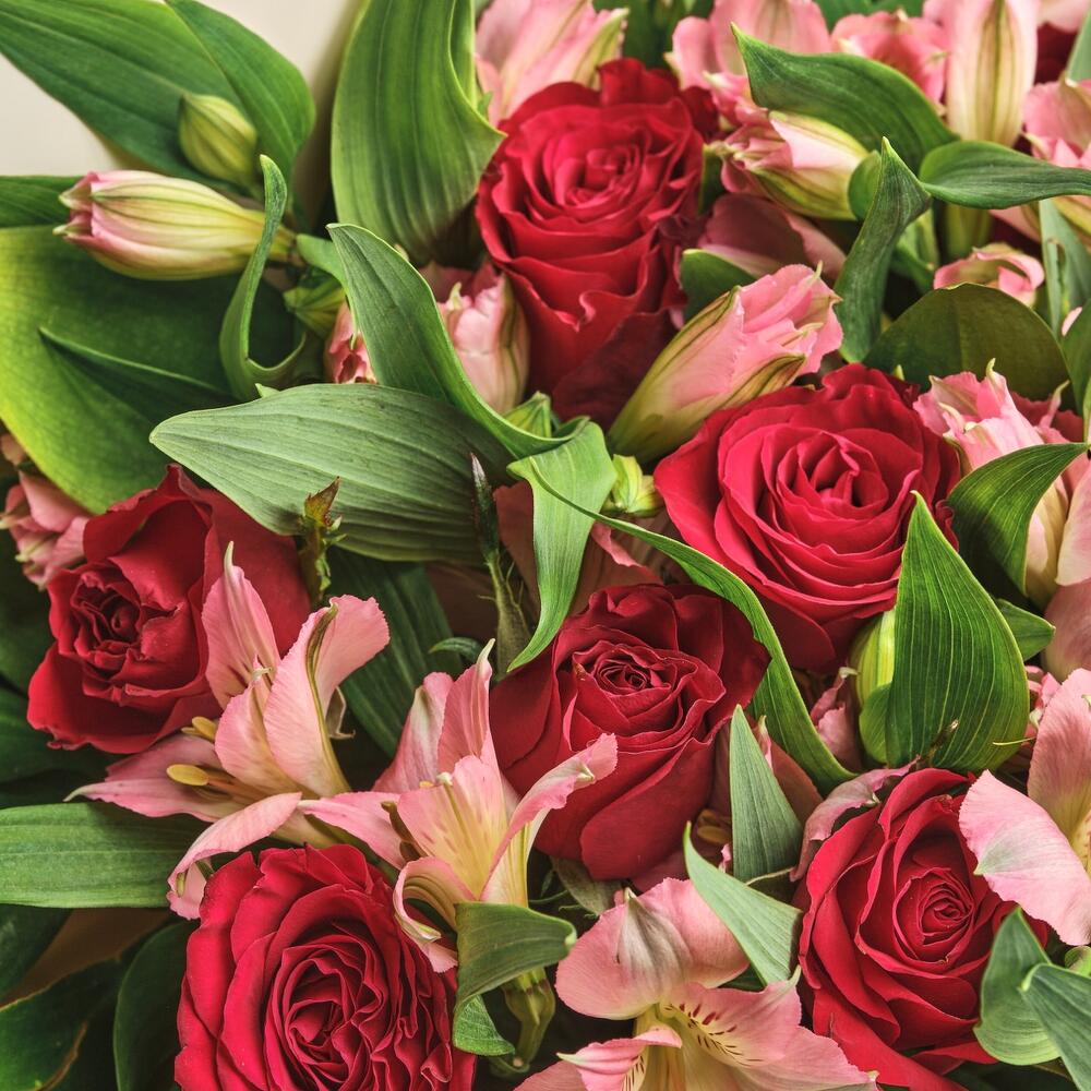 Букет «Нежность слов» — гармония красных роз и нежных альстромерий Анадырь Чукотский автономный округ