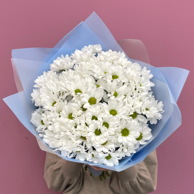 Букет «Ромашковое поле» – свежесть белых хризантем Анадырь Чукотский автономный округ