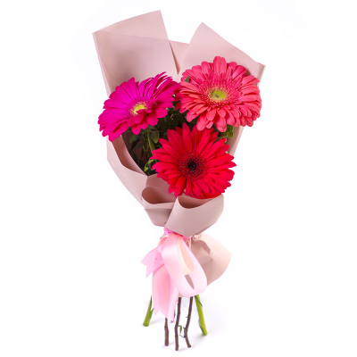 Яркий букет из 3 разноцветных гербер – маленькое чудо в ваших руках Анадырь Чукотский автономный округ