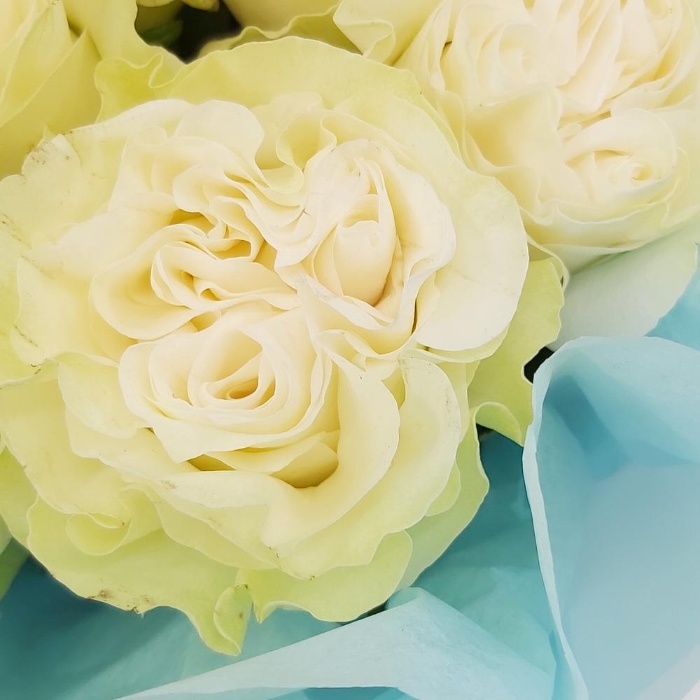 Букет «Кружевное облачко» – 11 белоснежных роз в нежной упаковке Анадырь Чукотский автономный округ