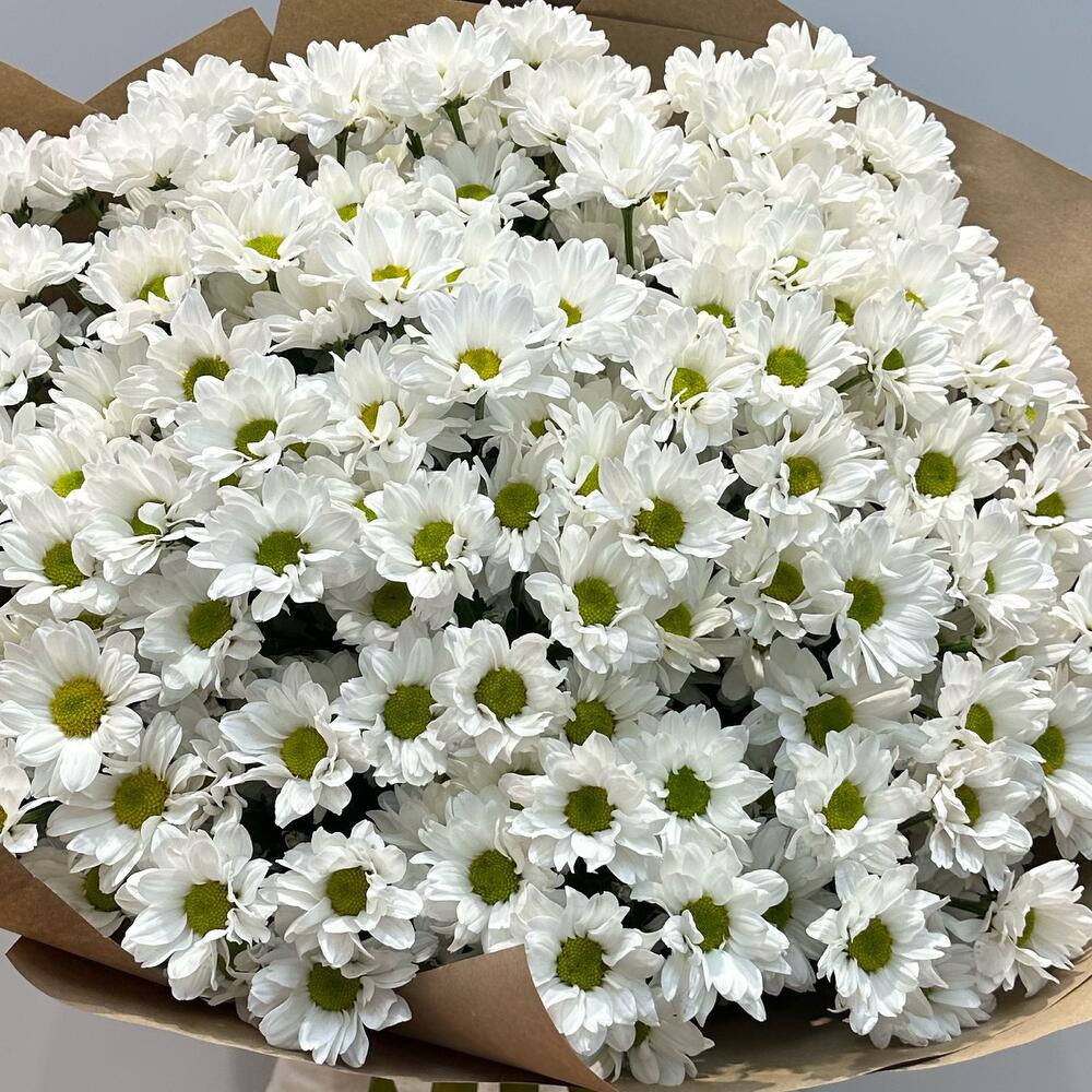 Букет «21 ромашка» – нежные белые кустовые хризантемы в натуральном стиле Анадырь Чукотский автономный округ