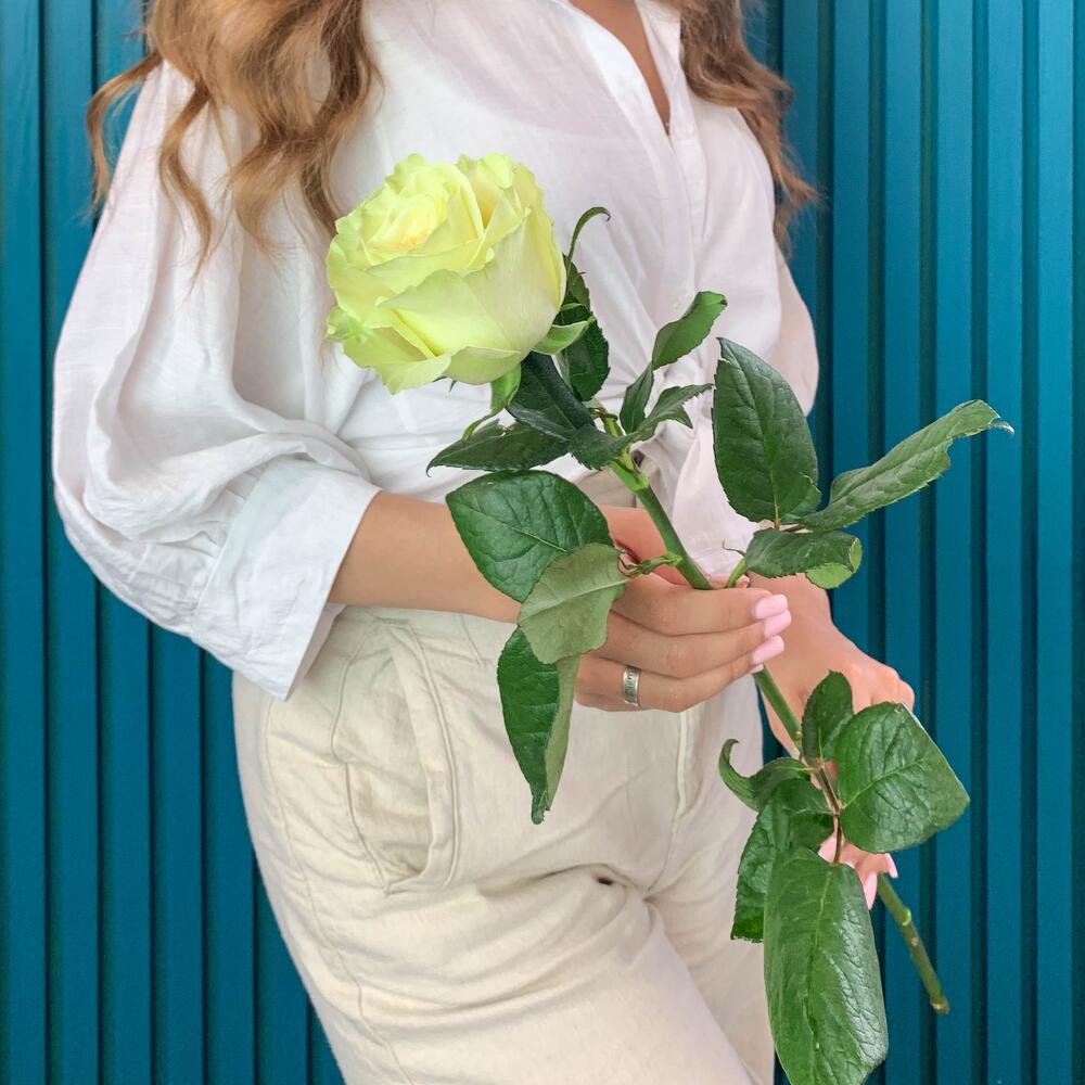 Комплимент из белой эквадорской розы – элегантность в каждом лепестке Анадырь Чукотский автономный округ