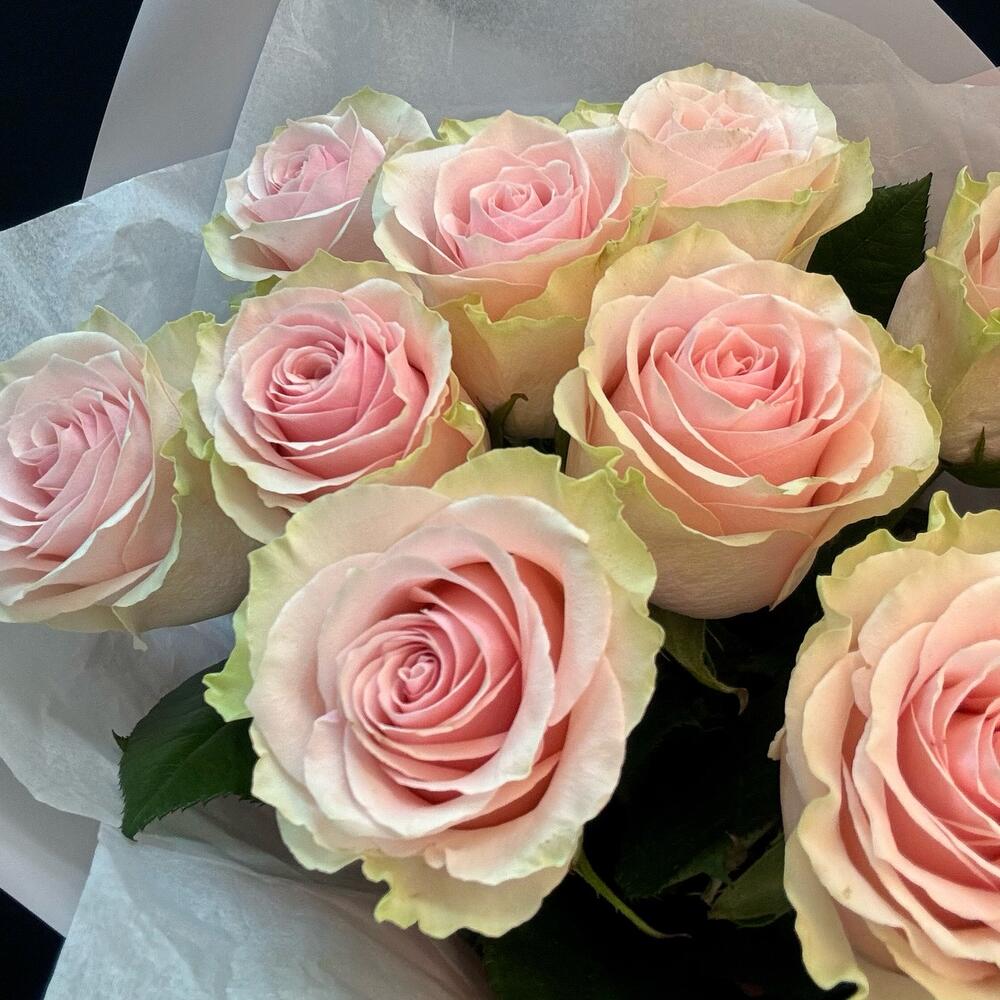 Букет из 9 розовых роз – нежность в каждом лепестке Анадырь Чукотский автономный округ