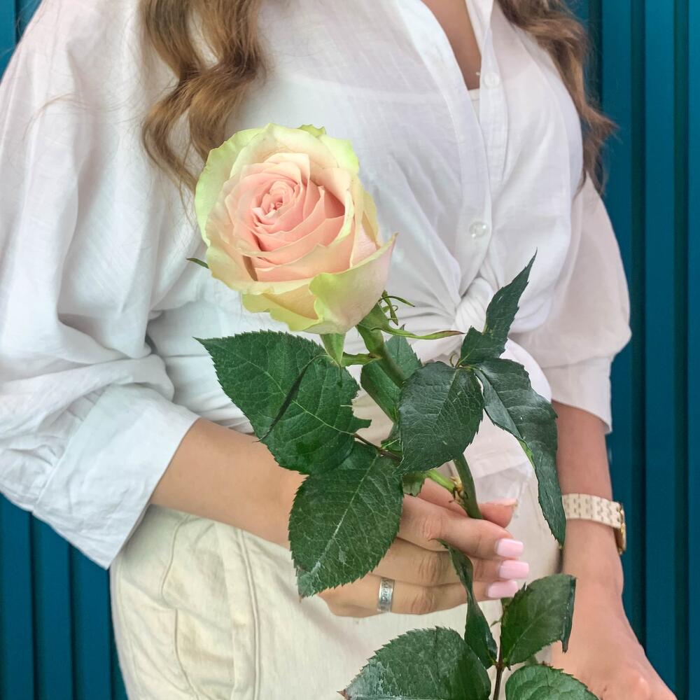 Комплимент из розовой эквадорской розы – минимализм роскоши Анадырь Чукотский автономный округ