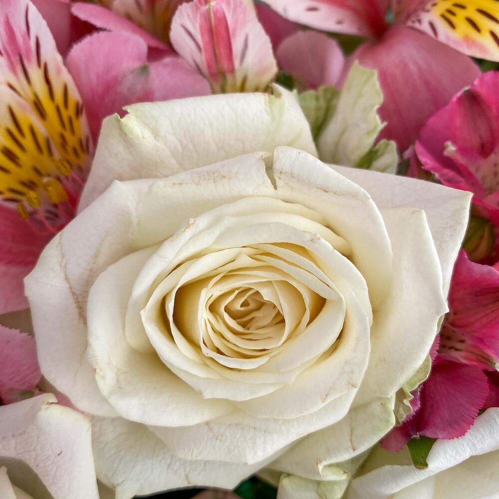 Букет «Николь» – изысканное сочетание роз, кустовых роз и альстромерий Анадырь Чукотский автономный округ