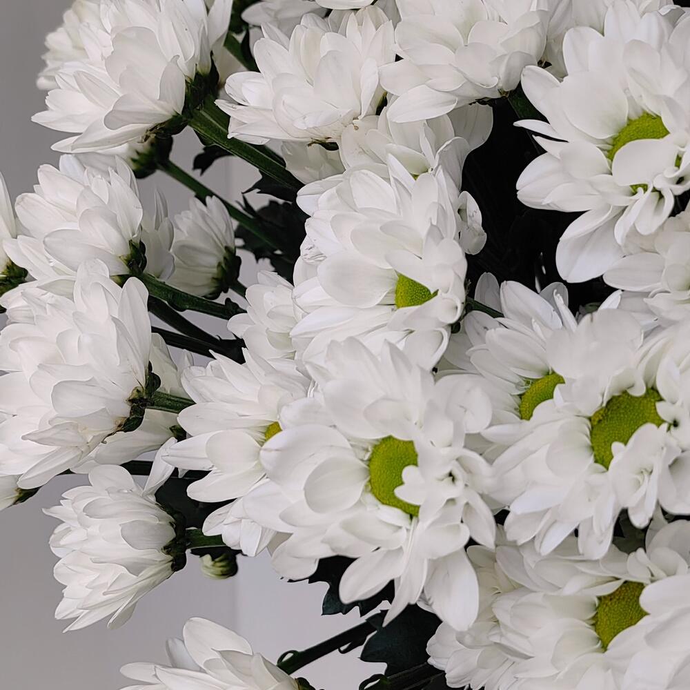 Букет «Ромашка» — свежесть белых хризантем в деревенском стиле Анадырь Чукотский автономный округ