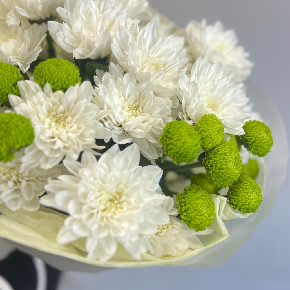 Эксклюзивный букет «Филин Грин» – сочетание белых и зеленых хризантем Анадырь Чукотский автономный округ