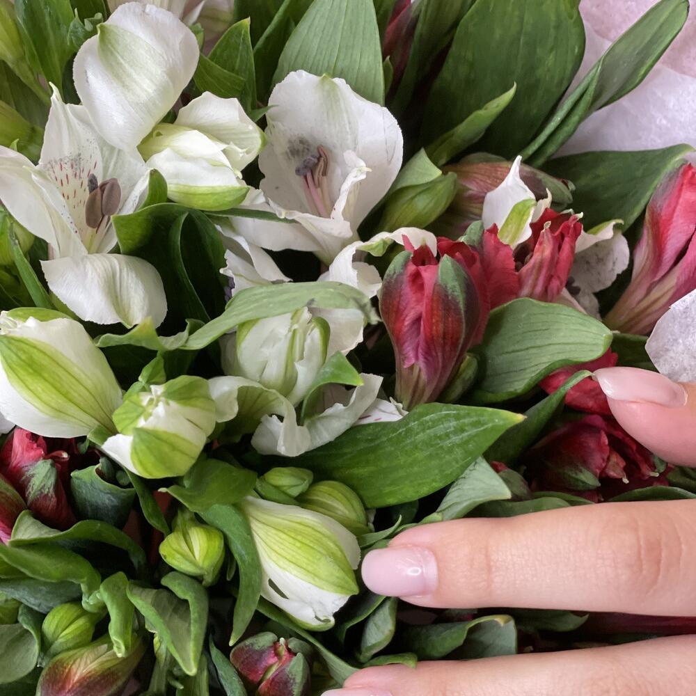 Букет «Люблю»– страсть и чистота в красно-белых альстромериях Анадырь Чукотский автономный округ