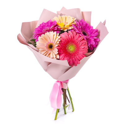 Яркий букет из 5 разноцветных гербер – солнечное настроение в подарок Анадырь Чукотский автономный округ