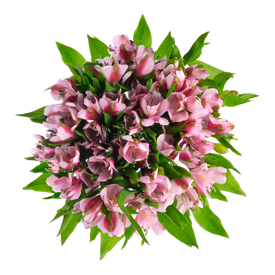 Букет «Хорошее настроение» из розовых альстромерий – солнечный подарок Анадырь Чукотский автономный округ