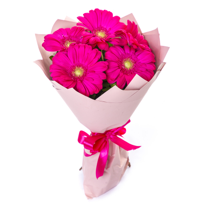 Букет из 5 малиновых гербер – сочный акцент вашего подарка Анадырь Чукотский автономный округ