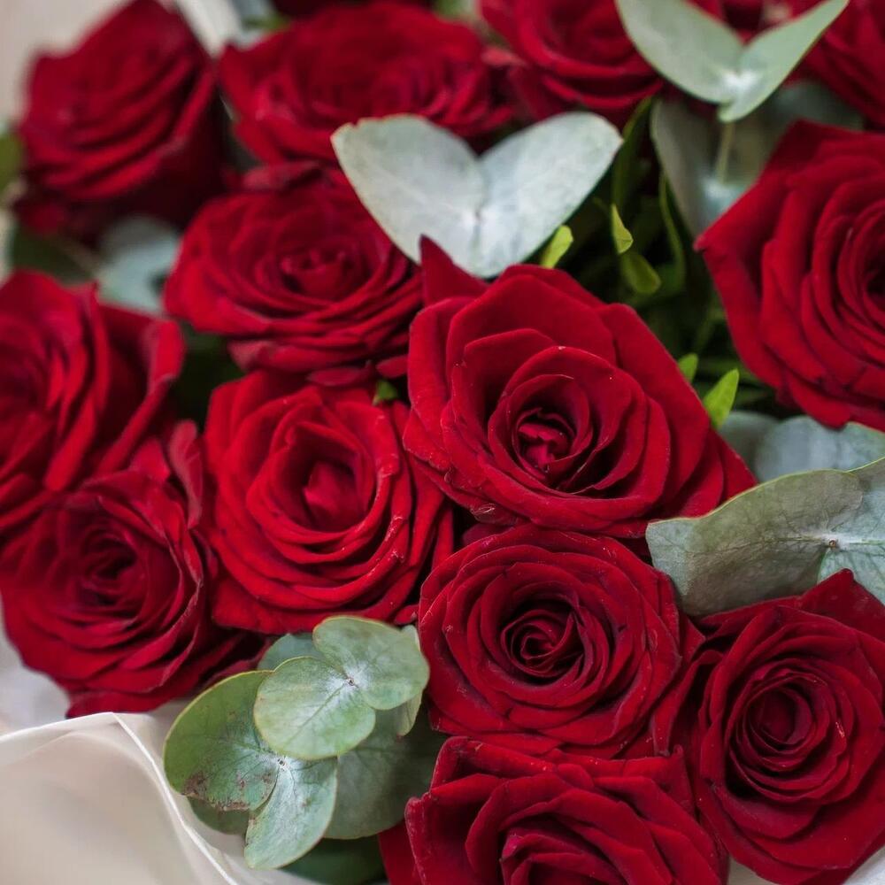 Элегантный букет из 15 красных роз с эвкалиптом – символ страсти и нежности Анадырь Чукотский автономный округ