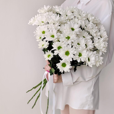 Букет «Ромашка» – 9 белоснежных хризантем в деревенском стиле Анадырь Чукотский автономный округ