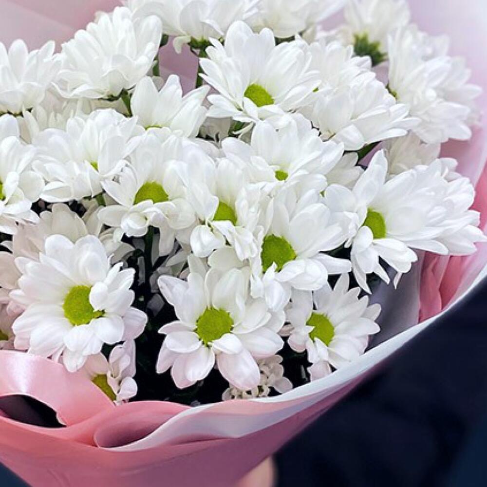 Букет «Розовое счастье» – нежность белых хризантем Анадырь Чукотский автономный округ