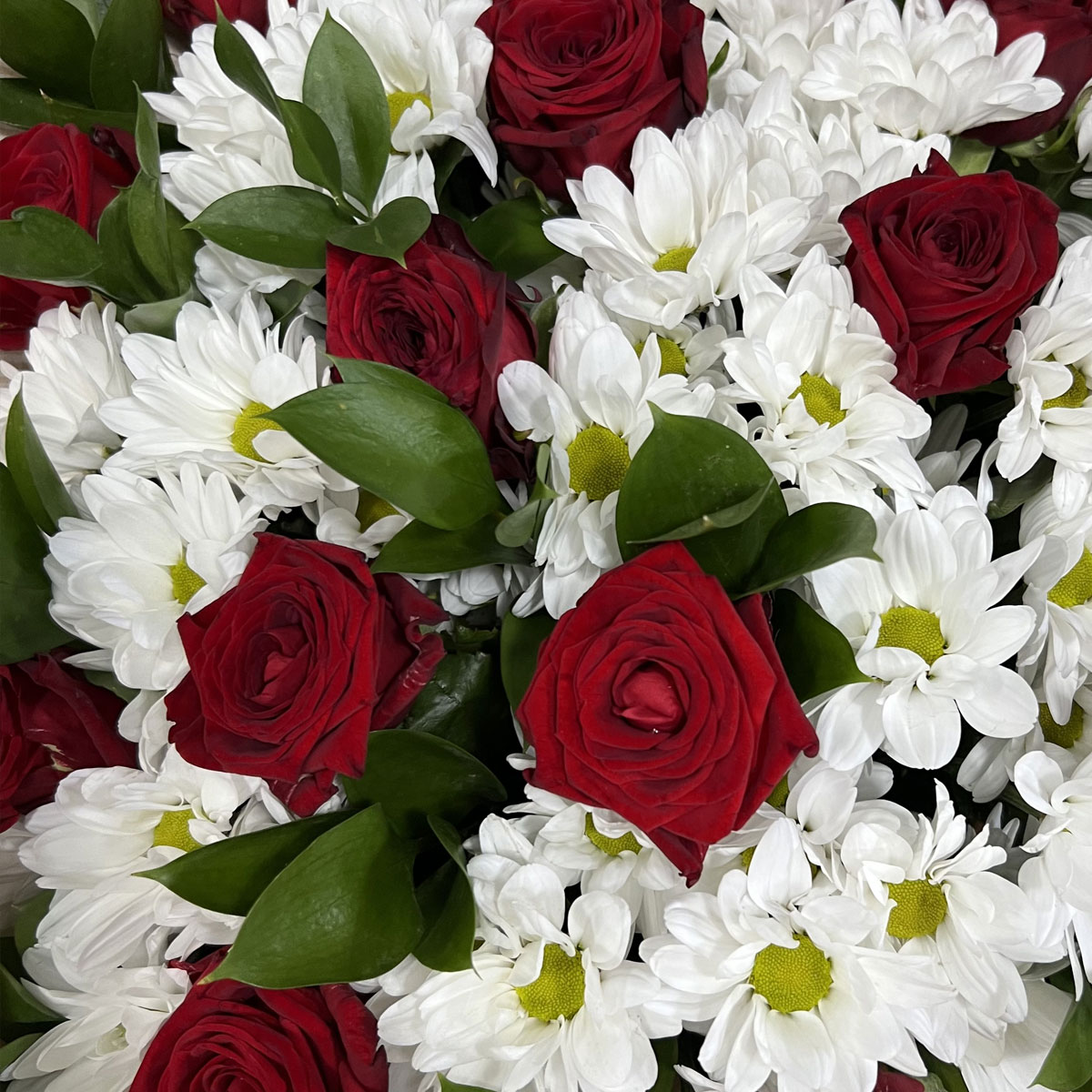 Букет «Романтика» — гармония красных роз и белоснежных хризантем Анадырь Чукотский автономный округ