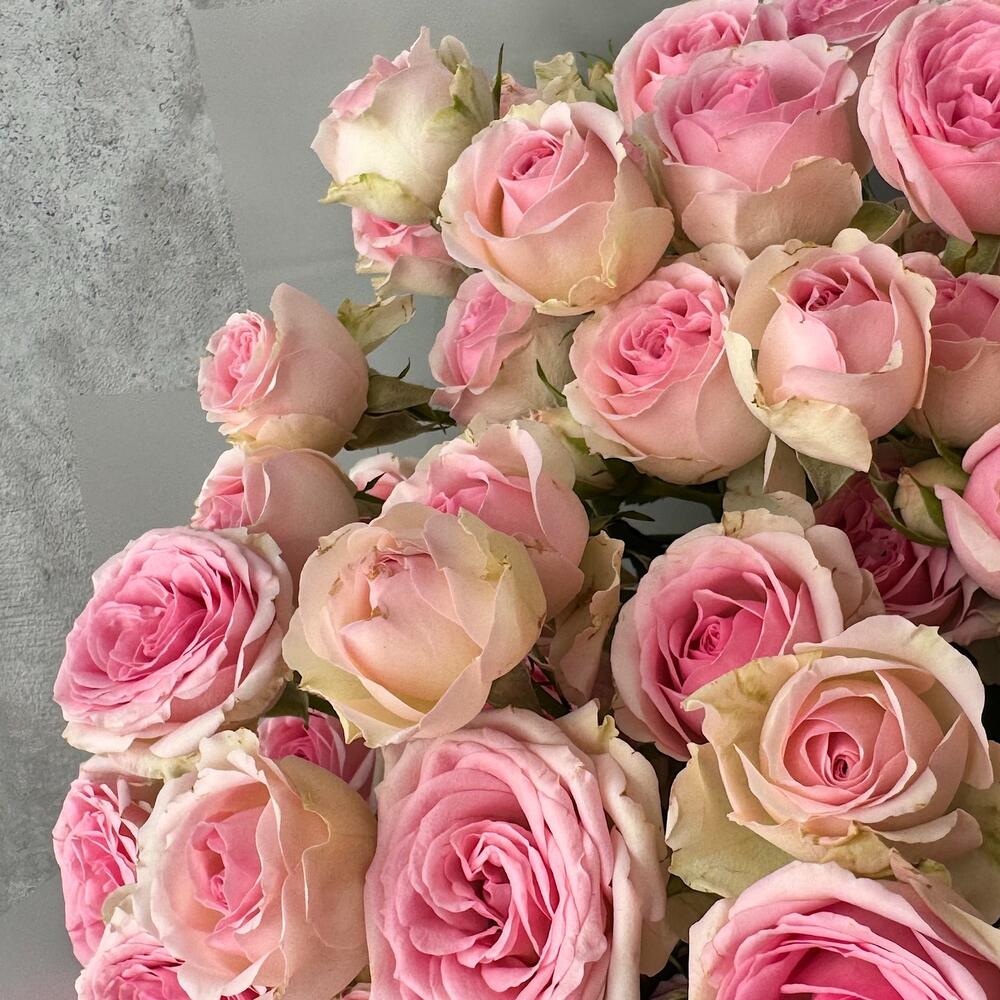 Букет «Нежный аромат» – пышные розовые кустовые розы в элегантной упаковке Анадырь Чукотский автономный округ